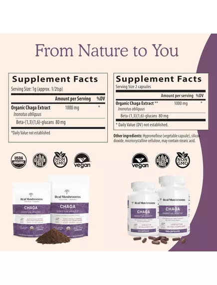 Real Mushrooms Chaga / Грибы с экстрактом чаги для поддержки иммунитета и пищеварения 300 капс., фото 6 в магазине биодобавок nutrido.shop