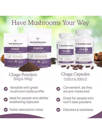 Real Mushrooms Chaga / Грибы с экстрактом чаги для поддержки иммунитета и пищеварения 300 капс., фото 7 в магазине биодобавок nutrido.shop