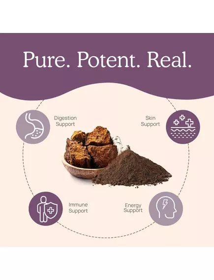 Real Mushrooms Chaga / Грибы с экстрактом чаги для поддержки иммунитета и пищеварения 300 капс., фото 9 в магазине биодобавок nutrido.shop