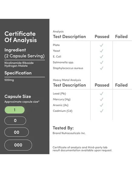 Double Wood Nicotinamide Riboside / Нікотинамід рибозид для підвищення НАД+ 120 капсул, фото 3 від магазину біодобавок nutrido.shop