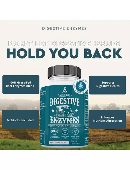 Ancestral Supplements Digestive Enzymes / Травні ферменти 90 капсул, фото 6 в магазине биодобавок nutrido.shop