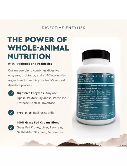 Ancestral Supplements Digestive Enzymes / Травні ферменти 90 капсул, фото 3 в магазине биодобавок nutrido.shop