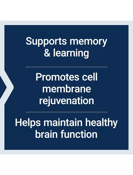 Life Extension DMAE Bitartrate / ДМАЕ бітартрат 150 мг 200 капсул, фото 4 в магазине биодобавок nutrido.shop