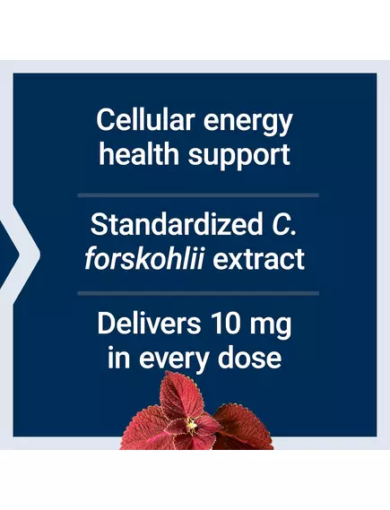 Life Extension Forskolin / Форсколін підтримка клітинної енергії 10 мг 60 капсул, фото 9 від магазину біодобавок nutrido.shop