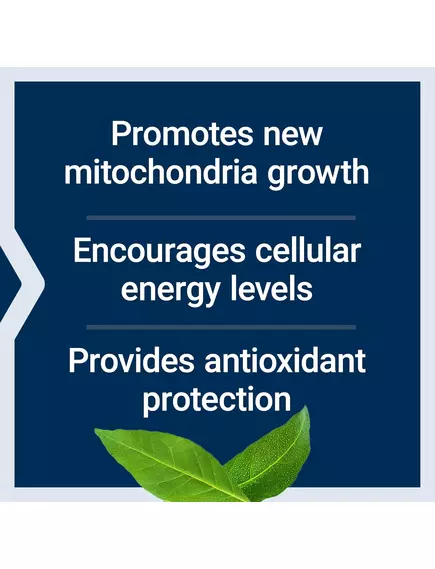 Life Extension PQQ / Піролохінолінхінон 10 мг 60 капсул, фото 3 в магазине биодобавок nutrido.shop