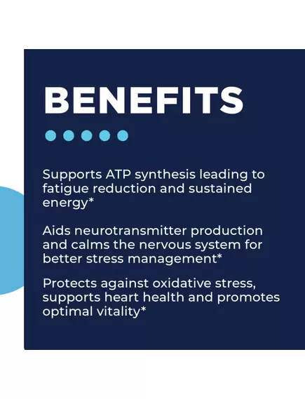 CellCore TriMag Complex / Комплекс магнію три форми з кофакторами 120 капсул, фото 4 в магазине биодобавок nutrido.shop