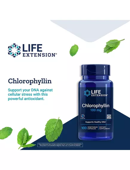 Life Extension Chlorophyllin / Хлорофілін 100 мг 100 капсул, фото 5 в магазине биодобавок nutrido.shop