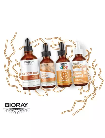 Bioray Tummy Belly Balance / Биорэй Белли Баланс (пробиотическая смесь из 11 штаммов) 60 мл, фото 6 в магазине биодобавок nutrido.shop