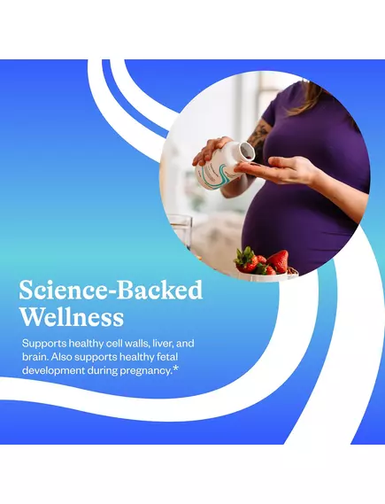 Seeking Health Optimal PC / Фосфатидилхолин из подсолнечника 800 мг 100 капсул, фото 15 в магазине биодобавок nutrido.shop