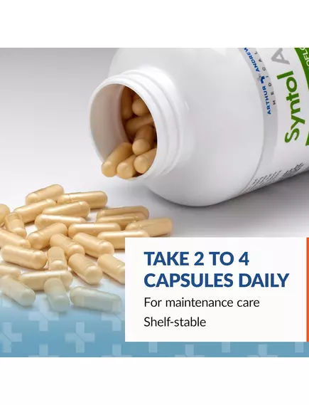 Arthur Andrew Syntol / Синтол пробіотичний фермент на основі спор 90 капсул, фото 13 від магазину біодобавок nutrido.shop