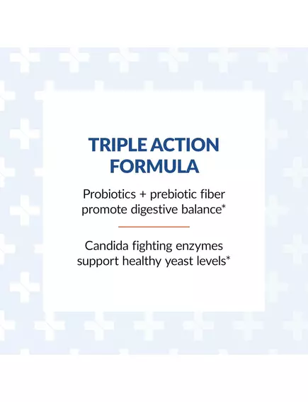 Arthur Andrew Syntol / Синтол пробіотичний фермент на основі спор 90 капсул, фото 14 від магазину біодобавок nutrido.shop