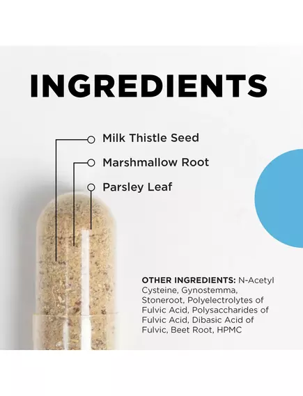 CellCore KL Support / Підтримання здорової функції нирок і печінки 120 капсул, фото 3 від магазину біодобавок nutrido.shop