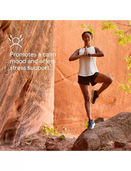 Trace Minerals Magnesium Sugar Free / Магній без  цукру смак ягід 120 жувателних мармеладок, фото 4 від магазину біодобавок nutrido.shop