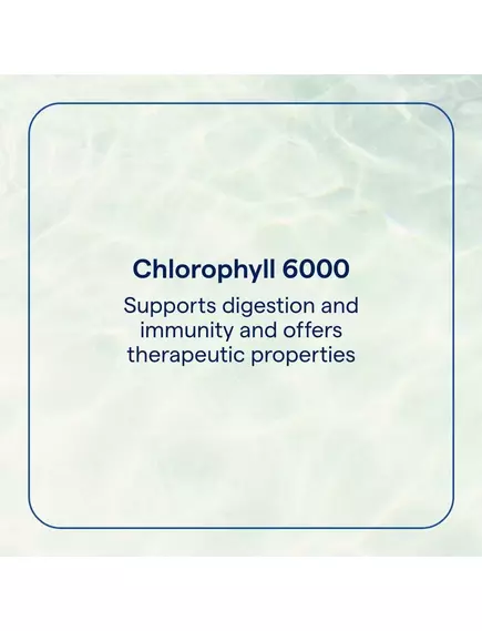 Trace Minerals Ionic Chlorophyll 6000 / Іонний хлорофіл 6000 59 мл, фото 3 від магазину біодобавок nutrido.shop