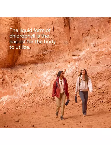 Trace Minerals Ionic Chlorophyll 6000 / Іонний хлорофіл 6000 59 мл, фото 5 від магазину біодобавок nutrido.shop