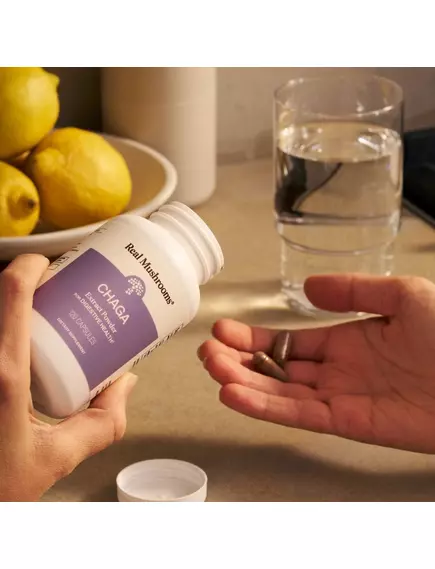 REAL MUSHROOMS CHAGA / ЧАГА ГРИБНИЙ ЕКСТРАКТ ДЛЯ ПІДТРИМКИ ІМУНІТЕТУ І ТРАВЛЕННЯ 300 КАПСУЛ, фото 16 від магазину біодобавок nutrido.shop