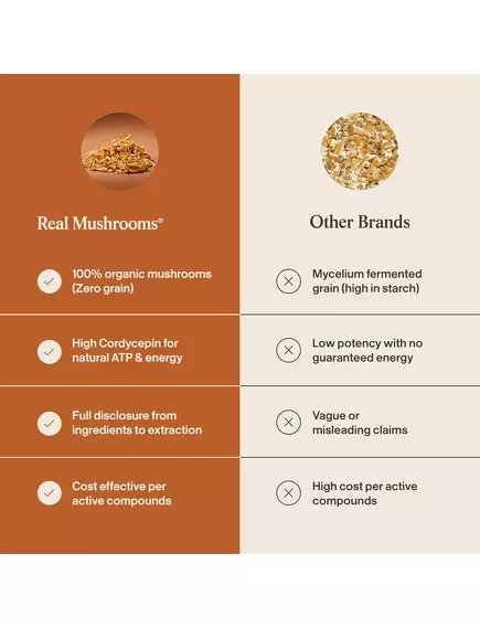 Real Mushrooms Cordyceps / Кордицепс органик порошок 60 г, фото 9 в магазине биодобавок nutrido.shop