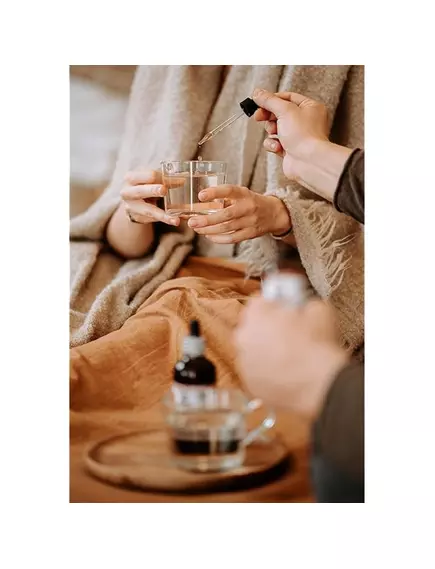 Hawaii Pharm Jin Qian Cao Alcohol-FREE / Цзинь Цянь Цао без спирту 60 мл, фото 5 в магазине биодобавок nutrido.shop