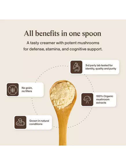 Real Mushrooms Functional Coconut Creamer / Кокосовые сливки + смесь из 5 экстрактов грибов 180 г, фото 15 в магазине биодобавок nutrido.shop