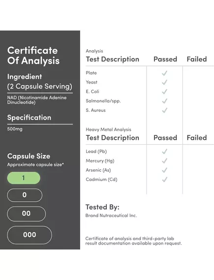 Double Wood NAD+ / НАД+ поддержка выработки клеточной энергии 250 мг 60 капсул, фото 10 в магазине биодобавок nutrido.shop