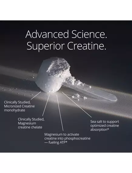 Neurohacker Qualia Creatine+ / Креатин підтримка м'язів, мозку та здорового старіння 110 г, фото 4 від магазину біодобавок nutrido.shop