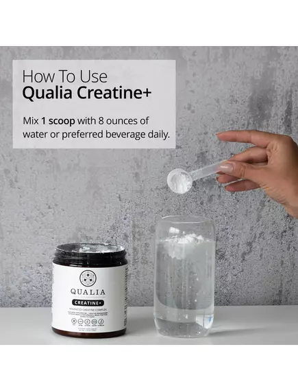 Neurohacker Qualia Creatine+ / Креатин підтримка м'язів, мозку та здорового старіння 110 г, фото 6 від магазину біодобавок nutrido.shop
