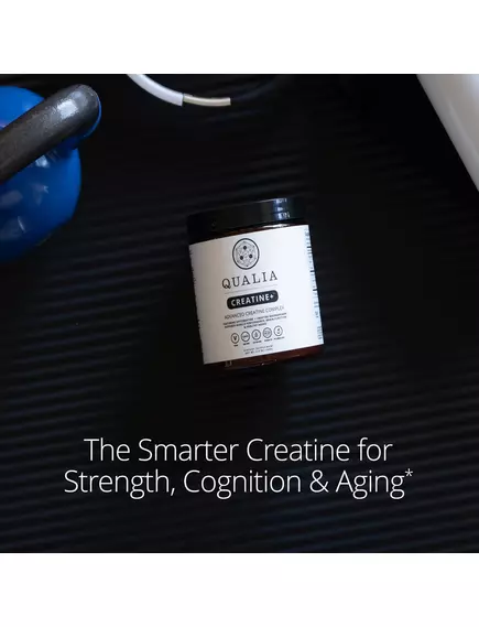 Neurohacker Qualia Creatine+ / Креатин підтримка м'язів, мозку та здорового старіння 110 г, фото 7 від магазину біодобавок nutrido.shop