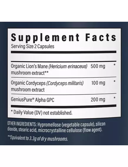 Real Mushrooms Lion's Mane Focus / Їжовик з Кордицепсом та Альфа-ГФХ для концентрації 90 капсул, фото 2 в магазине биодобавок nutrido.shop