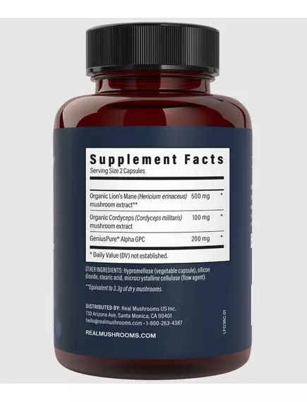 Real Mushrooms Lion's Mane Focus / Їжовик з Кордицепсом та Альфа-ГФХ для концентрації 90 капсул, фото 3 в магазине биодобавок nutrido.shop