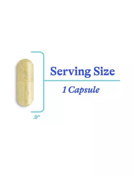 SEEKING HEALTH HISTAMINX / ГІСТАМІН X ПІДТРИМКА ПІД ЧАС СЕЗОННОЇ АЛЕРГІЇ 60 КАПСУЛ, фото 6 від магазину біодобавок nutrido.shop