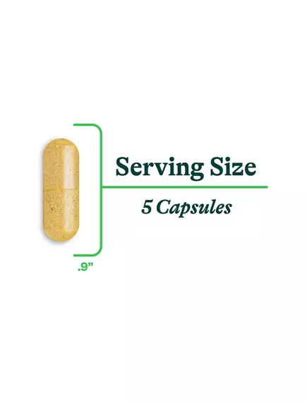Seeking Health Gut Nutrients (formerly Optimal GI) / Поживні речовини для кишківника 150 капсул, фото 4 від магазину біодобавок nutrido.shop