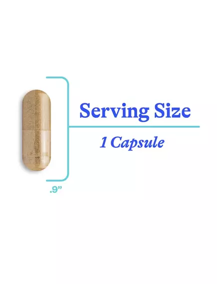 Seeking Health Ashwagandha / Ашваганда, магній малат і імбир 60 капсул, фото 3 від магазину біодобавок nutrido.shop