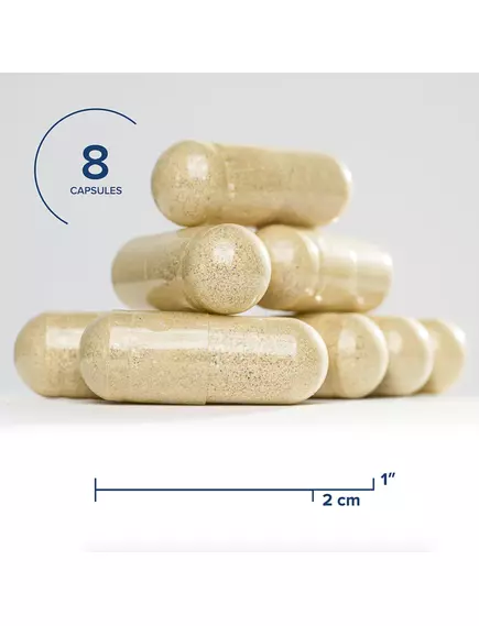 SEEKING HEALTH OPTIMAL MULTIVITAMIN PLUS / МУЛЬТИВІТАМІНИ ПЛЮС 240 КАПСУЛ, фото 2 від магазину біодобавок nutrido.shop