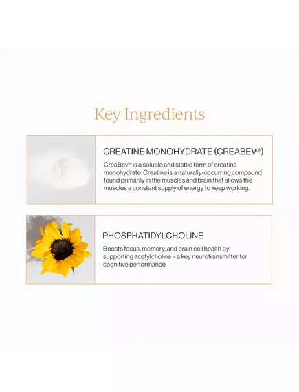 Cymbiotika Creatine+ / Креатин липосомальный поддержка выработки энергии 20 саше, фото 12 в магазине биодобавок nutrido.shop