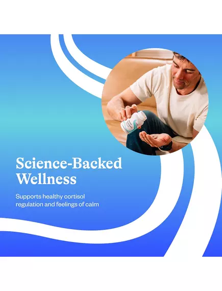 Seeking Health Stress Nutrients(Form Adrenal Nutrients)/ Питательные вещества для надпочечников 90 к, фото 6 в магазине биодобавок nutrido.shop