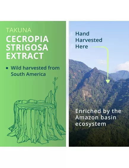 NutraMedix Takuna / Такуна 30 мл, фото 4 в магазине биодобавок nutrido.shop