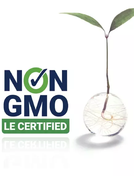 LIFE EXTENSION RAINFOREST BLEND DECAF GROUND COFFEE / КАВА ОРГАНІК БЕЗ КОФЕЇНУ 100% АРАБІКА 340 ГР, фото 5 в магазині біодобавок nutrido.shop LIFE EXTENSION RAINFOREST BLEND DECAF GROUND COFFEE / КАВА ОРГАНІК БЕЗ КОФЕЇНУ 100% АРАБІКА 340 ГР, фото 5 від магазину біодобавок nutrido.shop