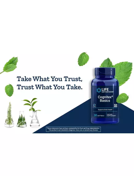 Life Extension Cognitex Alpha GPC / Підтримка когнітивних функцій з Альфа-ГПХ 30 капсул, фото 2 від магазину біодобавок nutrido.shop