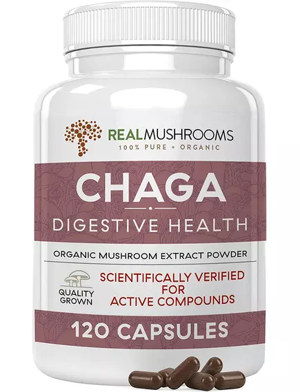 Real Mushrooms Chaga / Грибы с экстрактом чаги для поддержки иммунитета и пищеварения 120 капс. в магазине биодобавок nutrido.shop