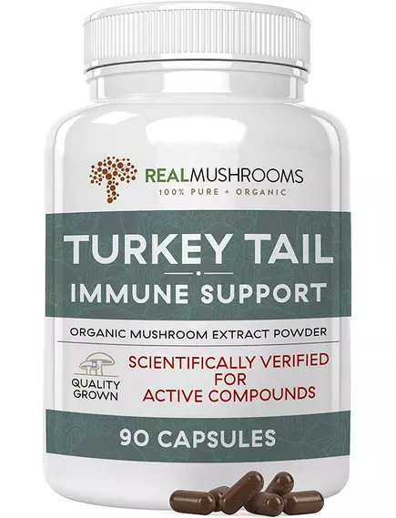 Real Mushrooms Turkey Tail / Трутовик разноцветный для поддержки иммунитета 90 капс. в магазине биодобавок nutrido.shop