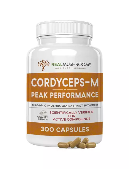 REAL MUSHROOMS CORDYCEPS / КОРДИЦЕПС ОРГАНІК 300 КАПСУЛ від магазину біодобавок nutrido.shop