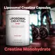CODEAGE LIPOSOMAL CREATINE / КРЕАТИН ЛІПОСОМАЛЬНИЙ 360 КАПСУЛ, фото 8 від магазину біодобавок nutrido.shop