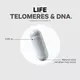 CodeAge Ultra Life Telomeres / Теломеры поддержка здорового старения и цикла метилирования 90 капсул, фото 7 в магазине биодобавок nutrido.shop