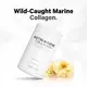 CodeAge Wild Caught Biotin Marine Collagen Peptides / Морской коллаген с биотином 120 капсул, фото 5 в магазине биодобавок nutrido.shop