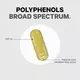 CODEAGE POLYPHENOLS BROAD SPECTRUM / ПОЛІФЕНОЛИ ШИРОКОГО СПЕКТРУ 120 КАПСУЛ, фото 7 від магазину біодобавок nutrido.shop