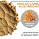 REAL MUSHROOMS CORDYCEPS / КОРДИЦЕПС ОРГАНІК ПОРОШОК 60 Г, фото 3 від магазину біодобавок nutrido.shop