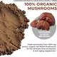 Real Mushrooms Reishi / Рейши органик порошок 45 гр., фото 5 в магазине биодобавок nutrido.shop