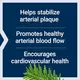 Life Extension Arterial Protect / Захист артерій підтримка здорового кровообігу 30 капсул, фото 2 від магазину біодобавок nutrido.shop