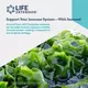 LIFE EXTENSION OPTIMIZED FUCOIDAN WITH MARITECH / ОПТИМІЗОВАНИЙ ФУКОЇДАН З MARITECH 60 КАПСУЛ, фото 3 від магазину біодобавок nutrido.shop