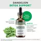 NutraMedix Dandelion / Кульбаба спиртовий екстракт листя 60 мл, фото 5 від магазину біодобавок nutrido.shop